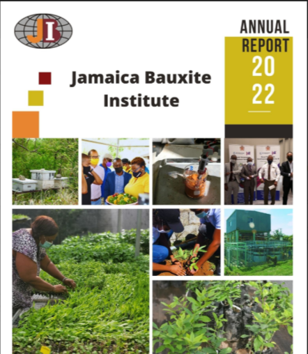 Annual Report 2022